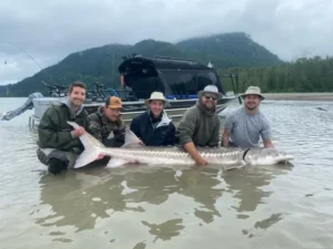 Group of anglers proudly holding a massive catch during an adventure sturgeon fishing on the Fraser River