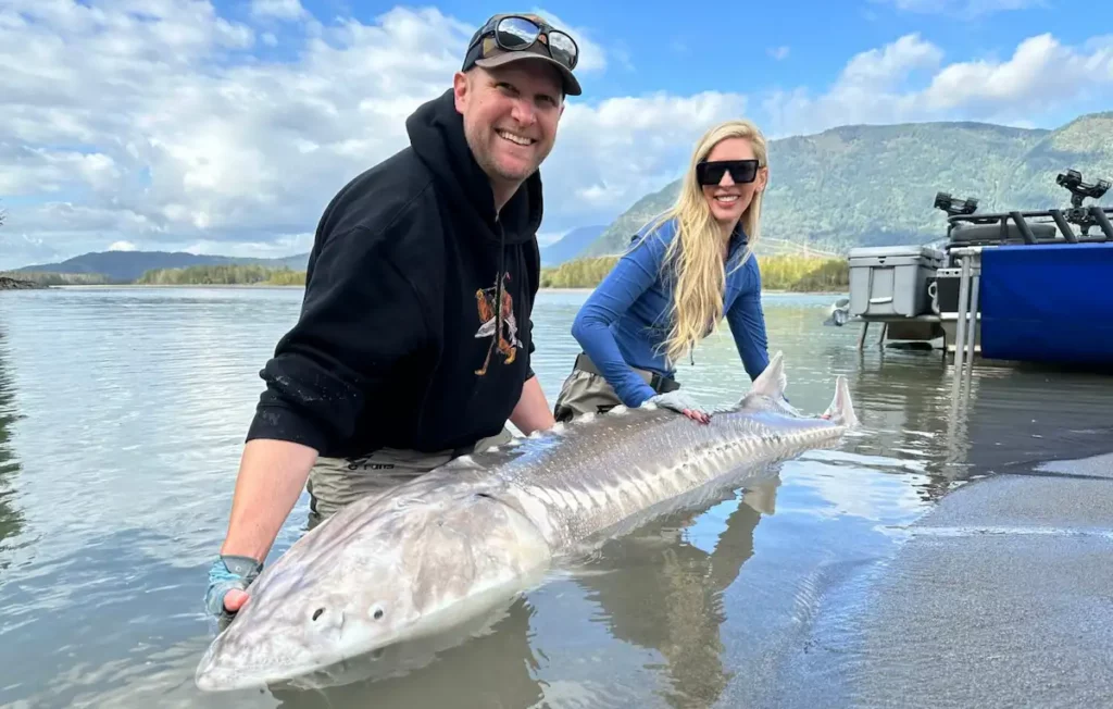 Two anglers proudly holding a large sturgeon during a winter sturgeon fishing trip on the Fraser River