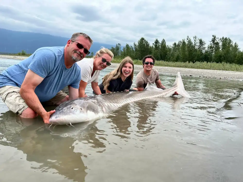 sturgeon fishing in fraser river