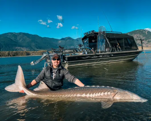 Neil Warkentin, Expert Sturgeon Fishing Guide at Hooked Up Fishing Adventures on the Fraser River, BC