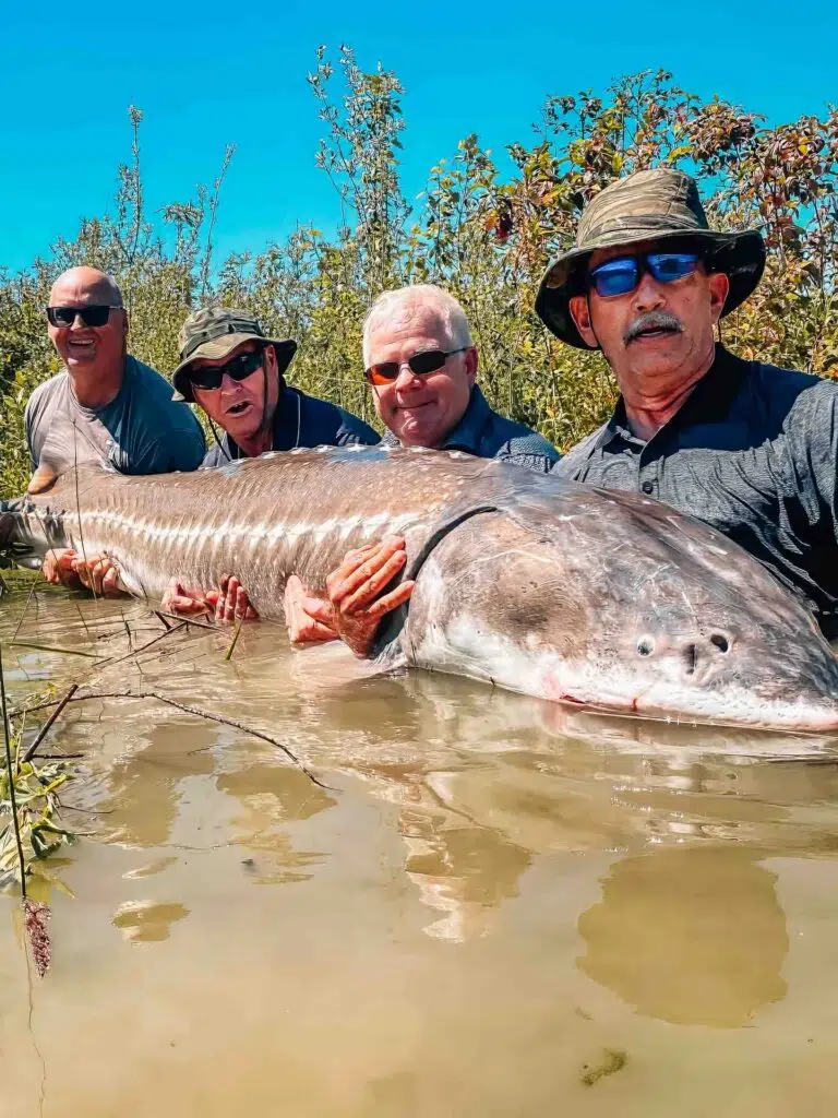 BC Sturgeon Fishing Adventures