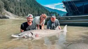 In the river with a sturgeon