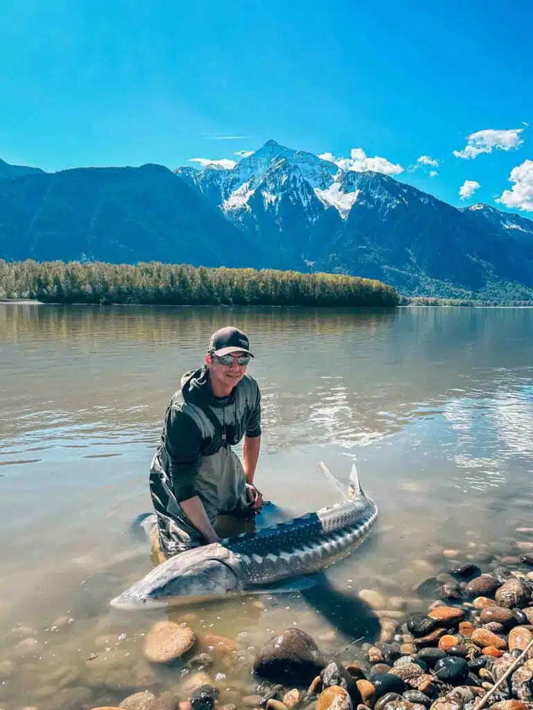 Beautiful catch and release of sturgeon