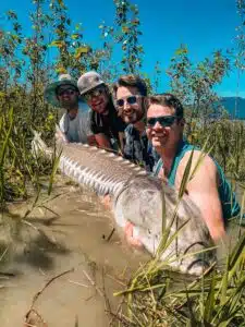 Sturgeon Catch and release on the Fraser River