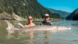 BC Sturgeon Fishing Charters